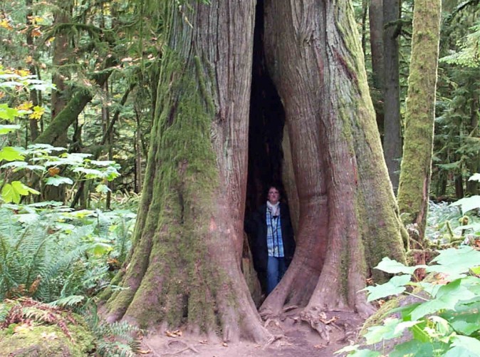 032_Kanada_Berge-und-Meer_Schoene-Aussichten-Touristik_Canada-Dream-Tours2