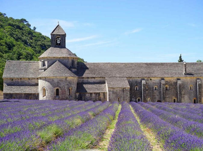 Provence_pixabay_abbaye-de-senanque-1595652_1280