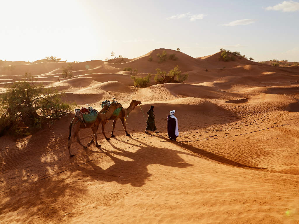 0021 Wahiba Sands Oman Fabien Bazanegue Schoene Aussichten Touristik