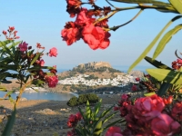 Inselhüpfen Rhodos & Kos