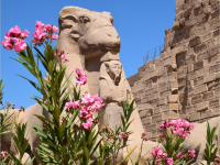 Ägypten: Kairo, Nil und Nassersee