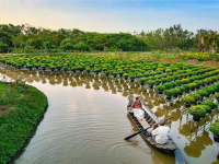 Vietnam – Vielfalt & Meer